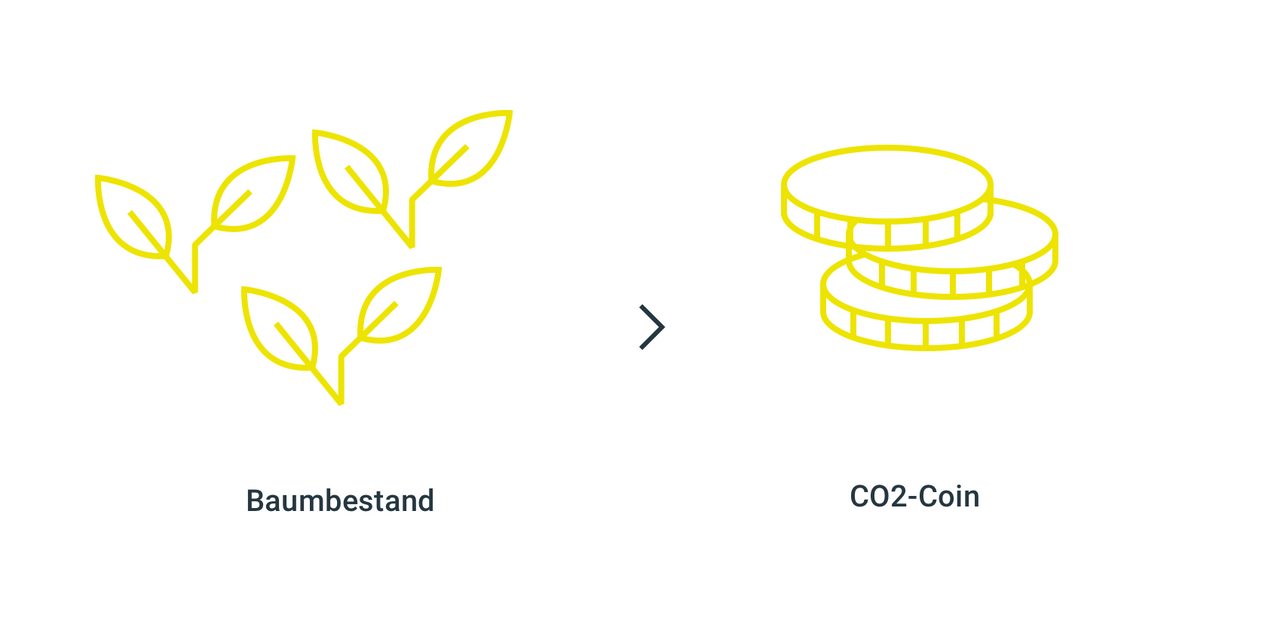 CO2Coin Workflow